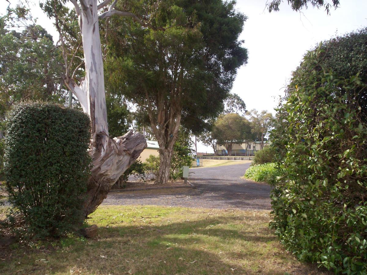 Bega Caravan Park Exterior photo